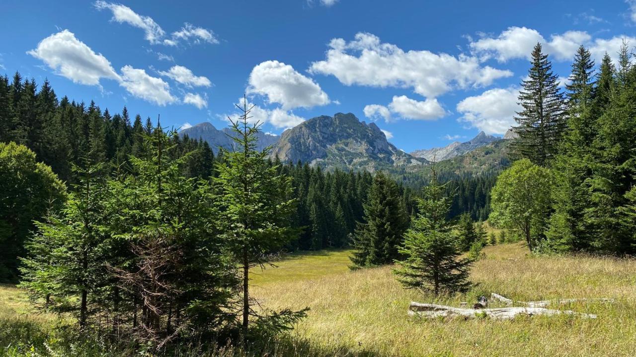 Villa Vista Pitomine Žabljak Exterior foto